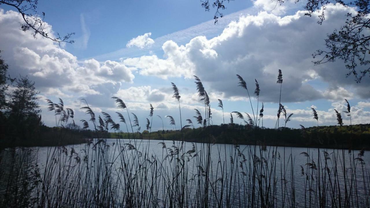 Schloonseevilla Mit Tiefgarage - 200 M Zum Strand Heringsdorf  Luaran gambar